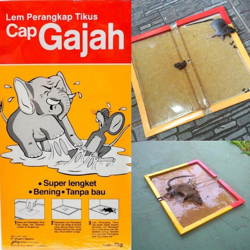 Lem Tikus Cap Gajah